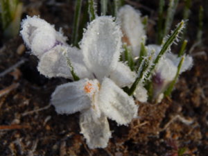 DSCN0446.JPG