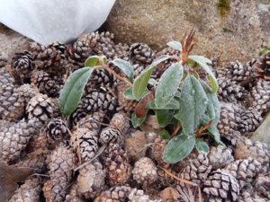 DSCN0449.JPG