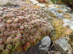 DSCN0357.JPG