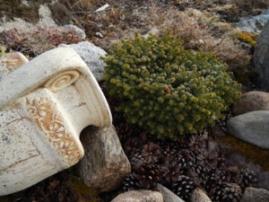 DSCN0364.JPG