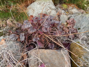 DSCN0365.JPG