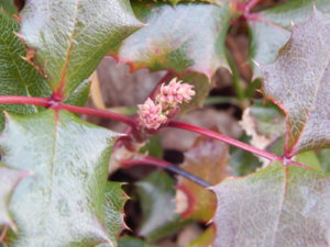 DSCN0372.JPG