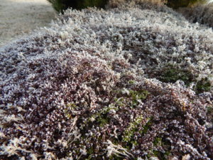 DSCN0431.JPG