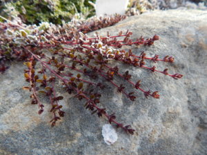 DSCN0432.JPG