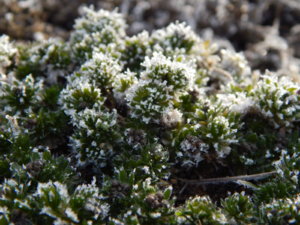 DSCN0433.JPG