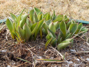 DSCN0353.JPG