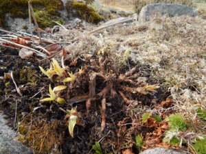 DSCN0356.JPG