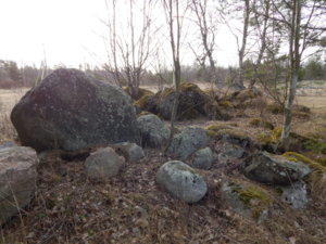 DSCN0375.JPG