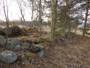 DSCN0376.JPG