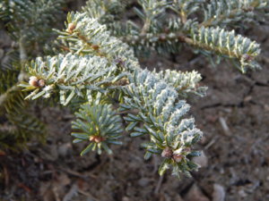DSCN0441.JPG