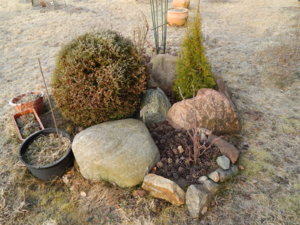 DSCN0453.JPG