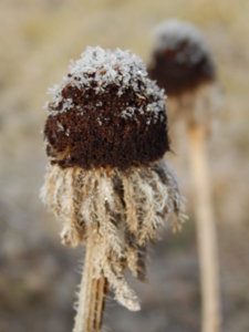 DSCN0456.JPG