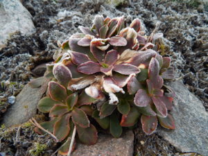 DSCN0457.JPG