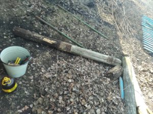 IMG_20200409_114931_1.jpg