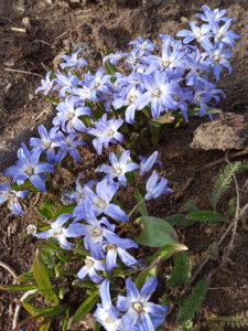 IMG_20200410_162730.jpg