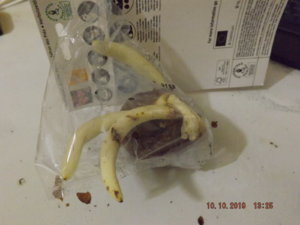 DSCF4926.JPG