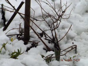 DSCF5784.JPG