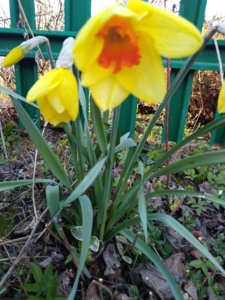 IMG_20200418_185616.jpg