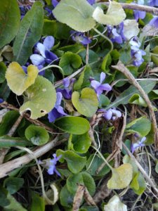 IMG_20200418_185544.jpg