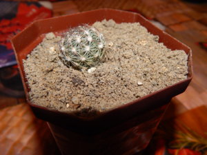 DSCN0470.JPG