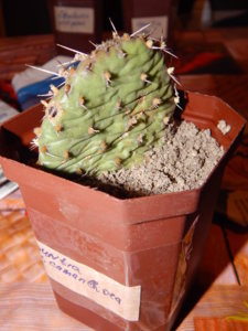 DSCN0475.JPG
