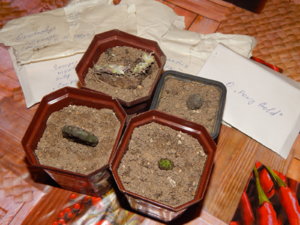 DSCN0479.JPG