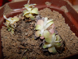 DSCN0488.JPG
