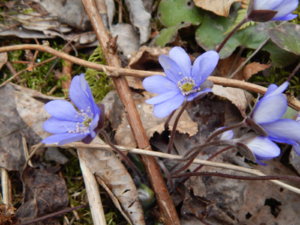 DSCN0612.JPG