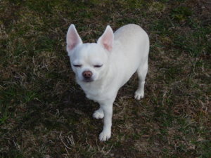 DSCN0573.JPG