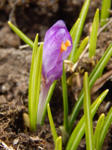DSCN0492.JPG