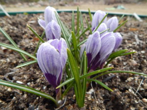 DSCN0502.JPG