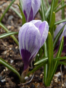 DSCN0504.JPG