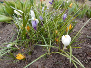 DSCN0524.JPG