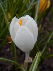 DSCN0525.JPG