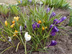 DSCN0526.JPG