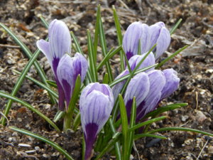 DSCN0566.JPG
