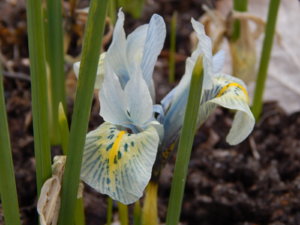 DSCN0521.JPG