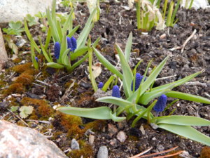 DSCN0518.JPG