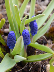 DSCN0519.JPG