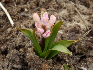 DSCN0522.JPG