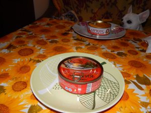 DSCN0808.JPG