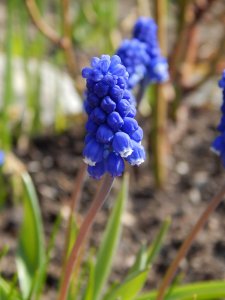 DSCN0715.JPG