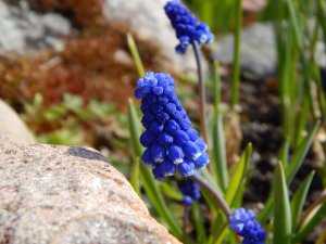 DSCN0717.JPG