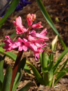 DSCN0759.JPG