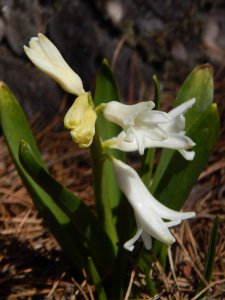 DSCN0762.JPG