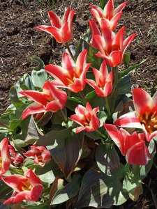 IMG_20200508_111359.jpg