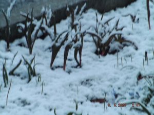 DSCF5965.JPG