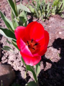 20200509_130659.jpg