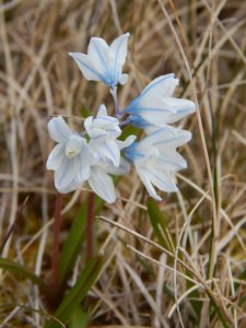 DSCN0537.JPG