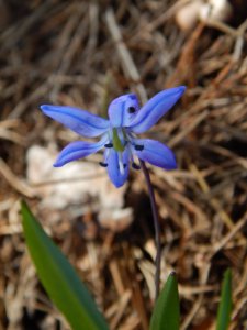 DSCN0768.JPG